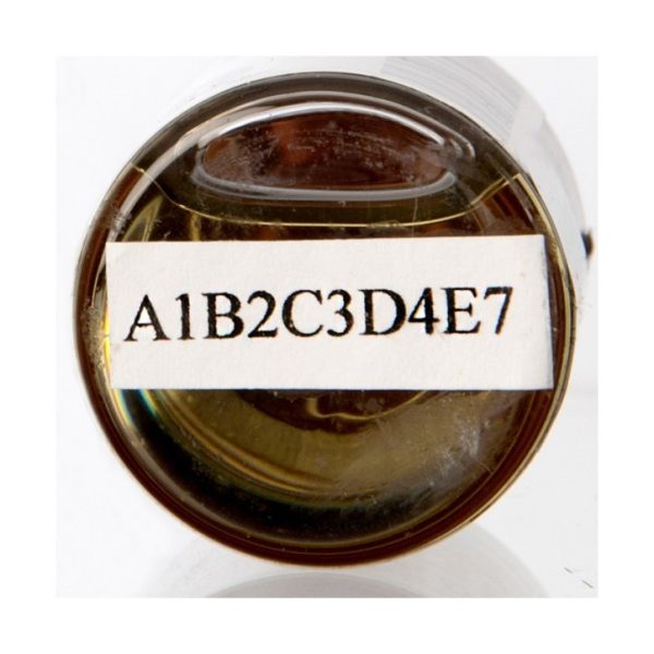 p1RtjA95lEvrtvN6SiZA-1